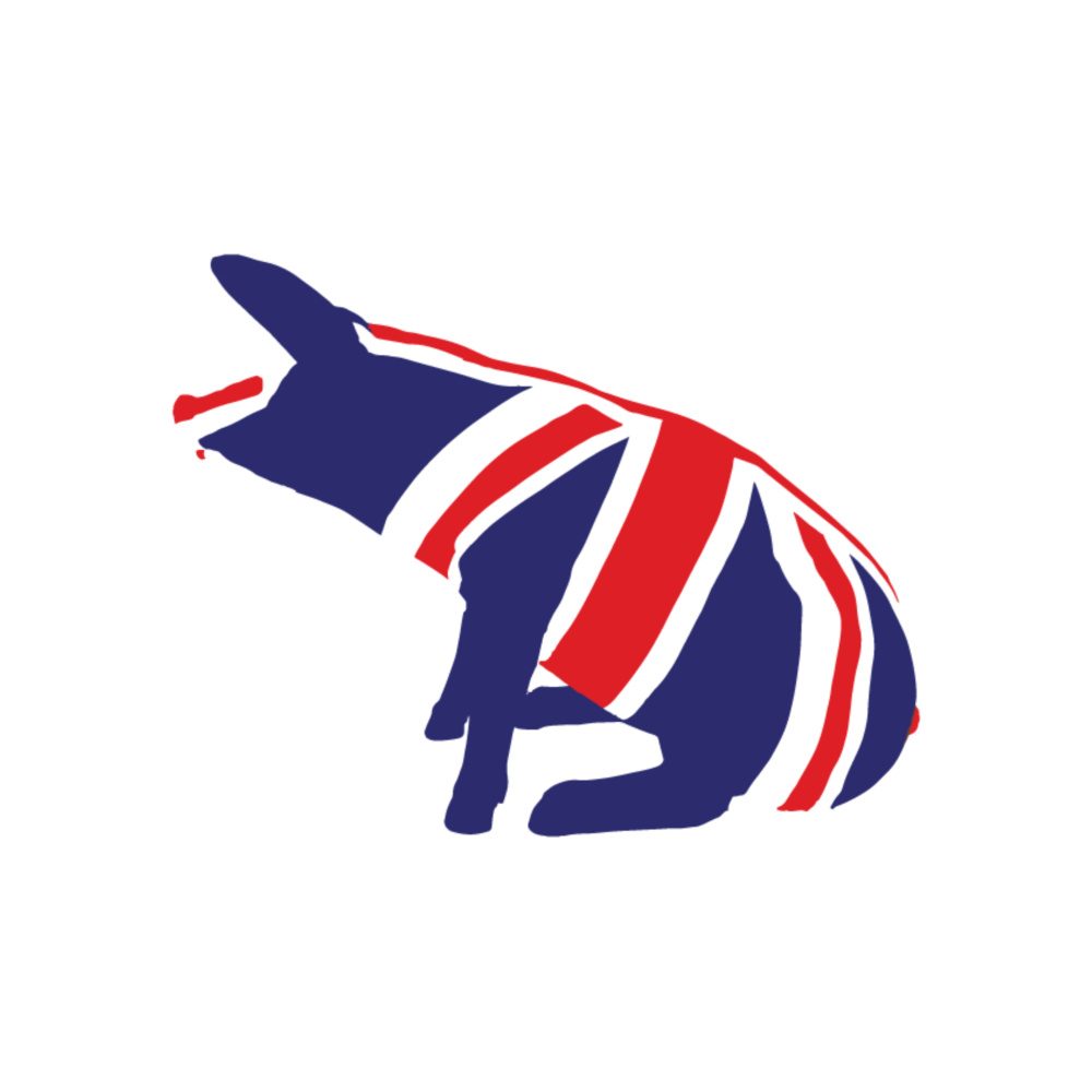 PIG 1000 x 1000 PIG 1000 x 1000