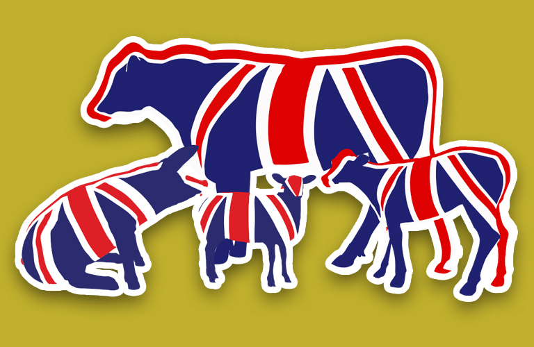 Meadow Quality Union Jack Animals